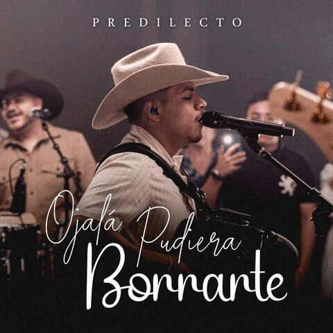 Ojalá Pudiera Borrarte