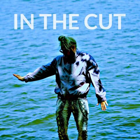 In The Cut