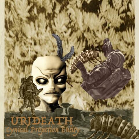 Cynical Projection Entity