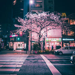 Tokyo