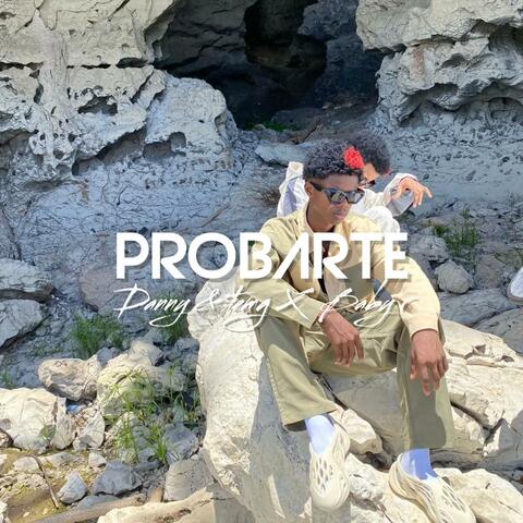 Probarte (feat. El Baby R)