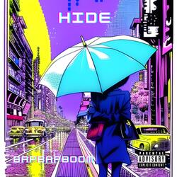 Hide