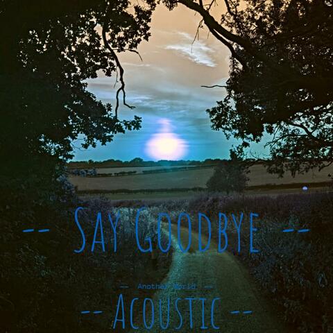 Say Goodbye (Acoustic)