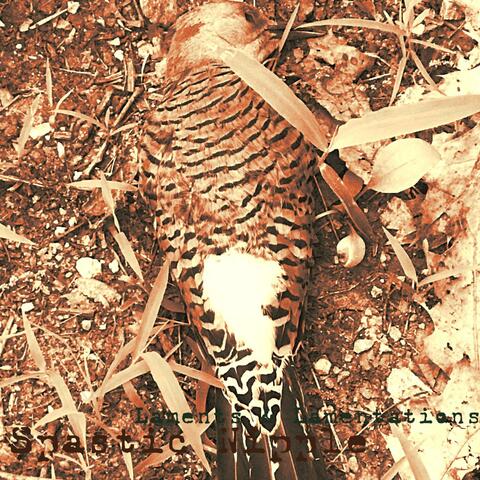 Laments & Lamentations