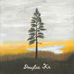 Douglas Fir