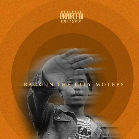 BACK IN THE CITY MOLEPS