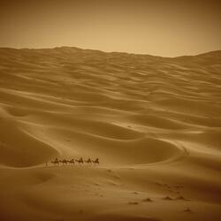 New Journey II (feat. ahao)