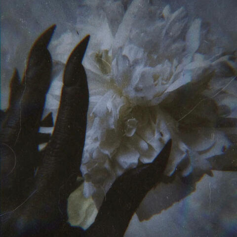 The Way (feat. AsaphDaKing)