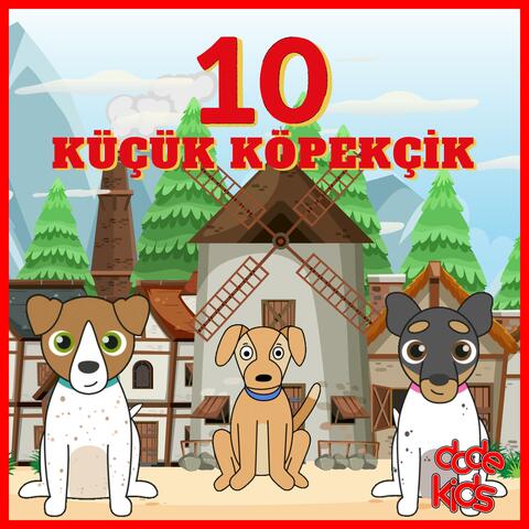 On Küçük Köpekçik