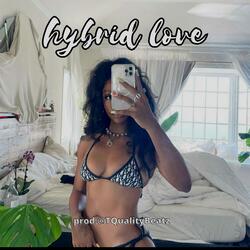 Hybrid Love