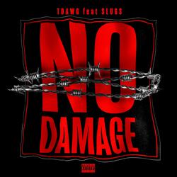 NO DAMAGE (feat. Oms slugs)
