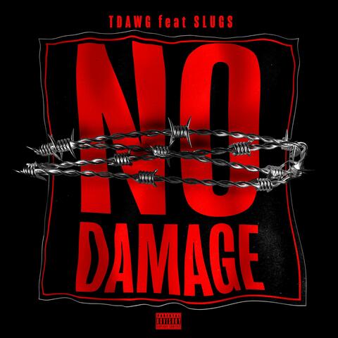 NO DAMAGE (feat. Oms slugs)