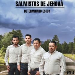 Lagrimas En El Desierto