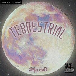 Terrestrial