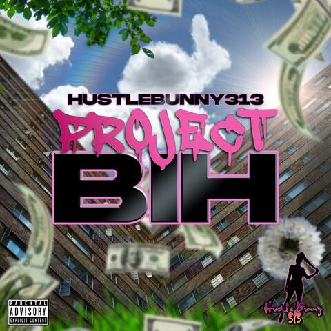 Project Bih