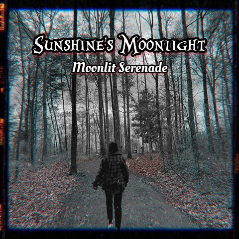 Moonlit Serenade