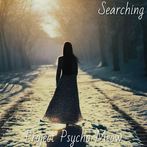 Searching (Unplugged)