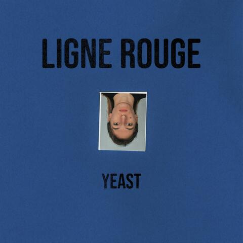 Yeast