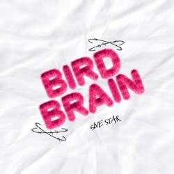 BIRD BRAIN