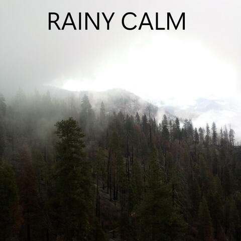 rainy calm