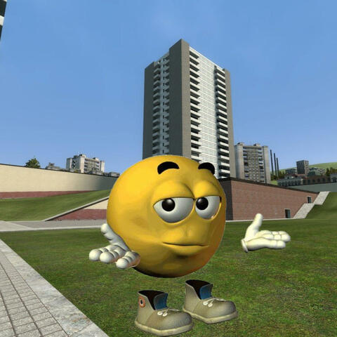 i was in a gmod admin sit for rdm and made this