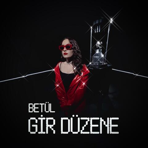 Gir Düzene