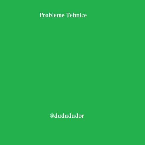 Probleme Tehnice