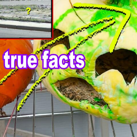 Blow Your Own Bubble (True Facts 4 Real Life)