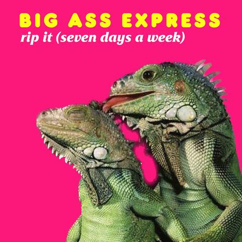rip it (seven days a week)