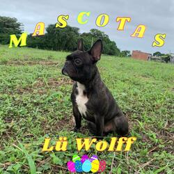Mascotas