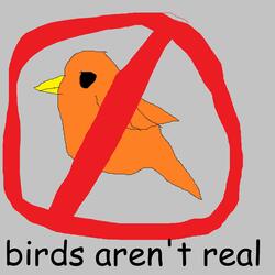 birds aren't real
