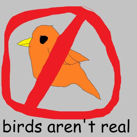 birds aren't real