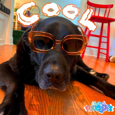 Cool Dog