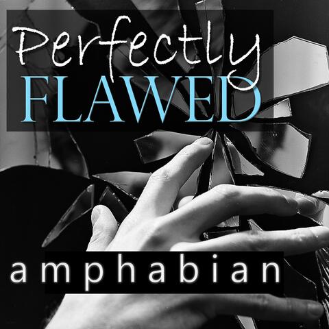 Perfectly Flawed