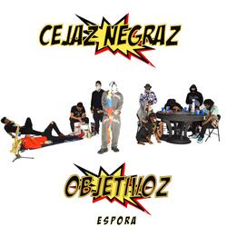 OBJETIVOZ