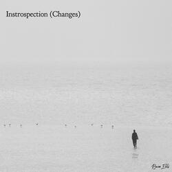Introspection (Changes)