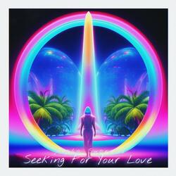 Seeking For Your Love