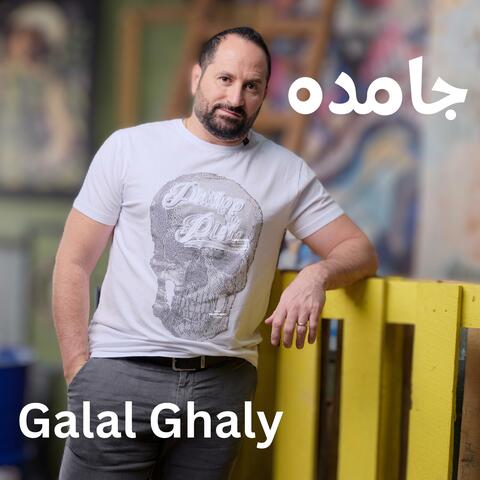 جاحده و جامده