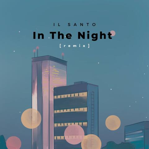 In The Night (Remix Version)