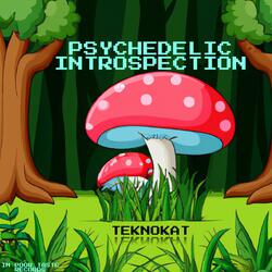 Psychedelic Introspection