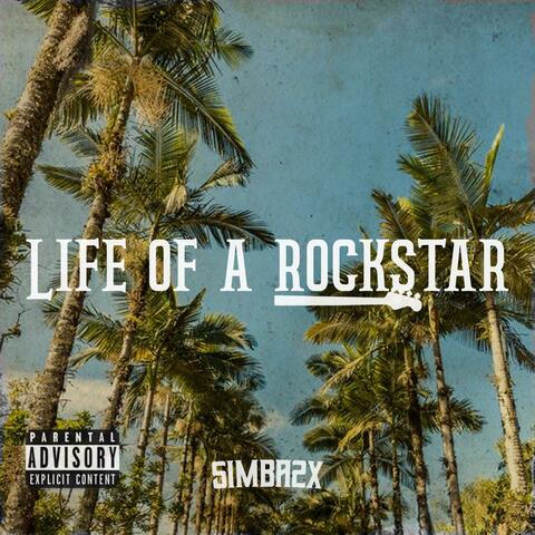 Life Of A Rockstar