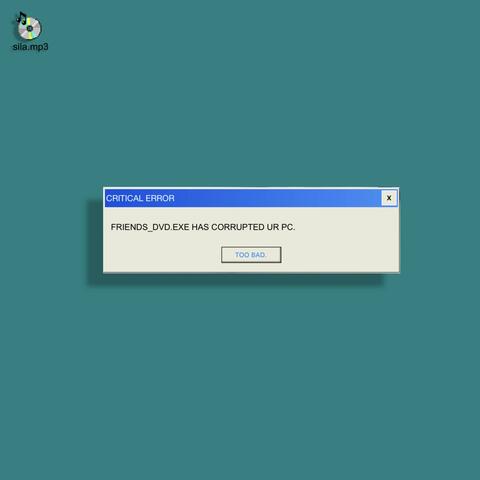 FRIENDS_DVD.EXE