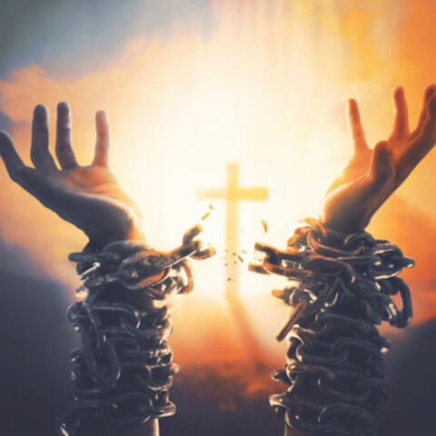 Free the Slaves