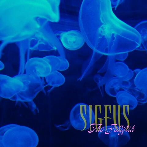 The Jellyfish