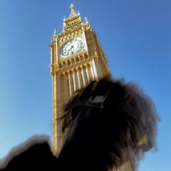 What's This Feeling?