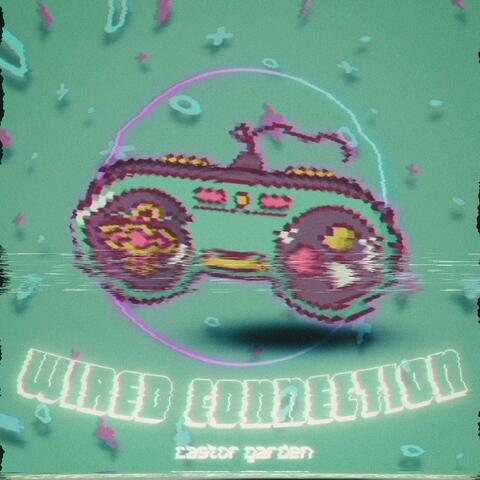 Wired Connection