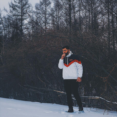 You Should Go (feat. J Wade)