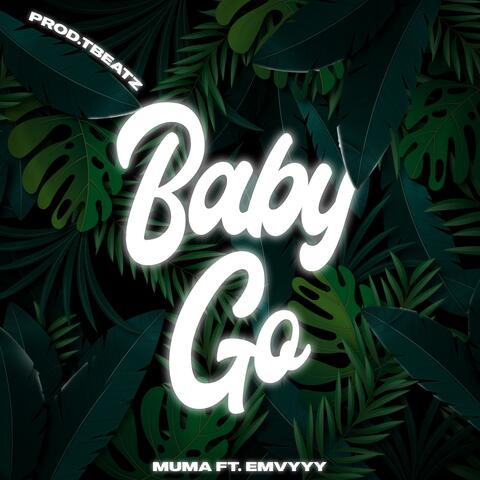 Baby Go (feat. Emvyyy)