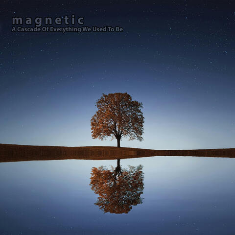 Magnetic