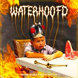 Waterhoofd